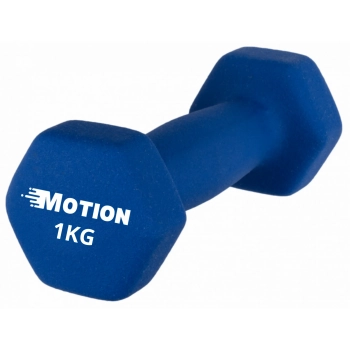 HANTEL HANTELKI OBCIĄŻNIKI DO ĆWICZEŃ MIĘŚNI FITNESS 1KG